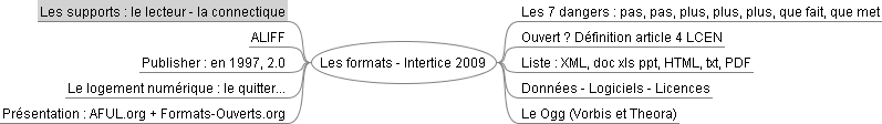 Carte heuristique de la conférence à Intertice 2009